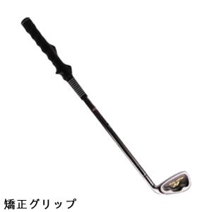 広田ゴルフ ロジャーキング ロジャーキング 飛...の詳細画像2