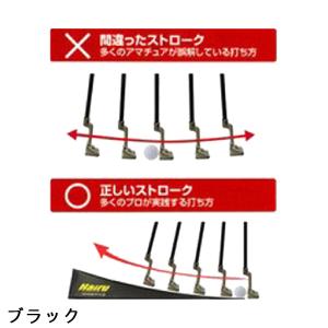 リョーマ ゴルフ RYOMA GOLF Hai...の詳細画像5