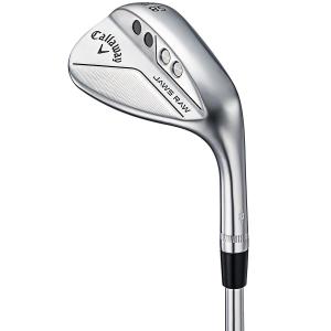 キャロウェイゴルフ Callaway Golf JAWS RAW ウェッジ スタンダードグラインド クロムメッキ仕上げ ダイナミックゴールド  シャフト：ダイナミックゴールド