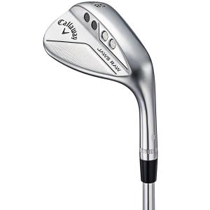 キャロウェイゴルフ Callaway Golf JAWS RAW ウェッジ スタンダードグラインド クロムメッキ仕上げ ダイナミックゴールド  シャフト：ダイナミックゴールド｜gdoshop