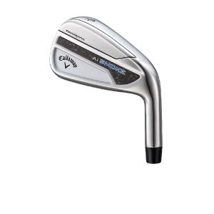Callaway キャロウェイ（CALLAWAY）（メンズ）BIG BERTHA