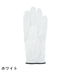 キャスコ KASCO GDO限定 PT100 ...の詳細画像2