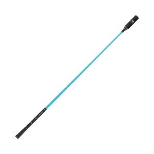 GravityFit Swing Kit スイングキット ゴルフ スイング 練習 器具 矯正