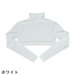 デルソルゴルフ DELSOL GOLF AQU...の詳細画像2
