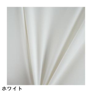 デルソルゴルフ DELSOL GOLF AQU...の詳細画像4