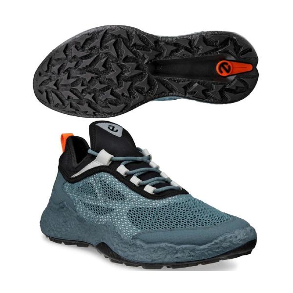 ecco エコー 限定モデル BIOM H5 TEXT シューズ