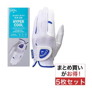 ゴルフシューズ デサントゴルフ メンズ　26 DESCENTE（デサント） デサントゴルフ DESCENTE GOLF ゴルフゴルフ