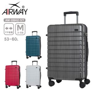 SALE 40%OFF】 Novel ノーベル 99907 マットフレームキャリー Lサイズ