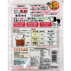 花ごころ どっキレイ元肥1kg×2袋の詳細画像2