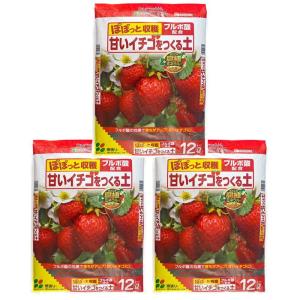 花ごころ イチゴの土12L×3袋の商品画像