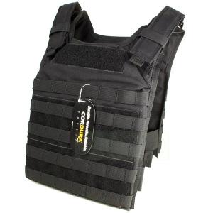 FLYYE プレキャリ 実物 FLYYE FAPC GEN2 with Additional mobile plate carrier RG