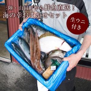 三陸・山田町から鮮魚てんこ盛り直送！ 地元の鮮魚店が朝の仕入れで選んだ「海の幸おまかせセット」牛乳ビン入り生ウニ付き