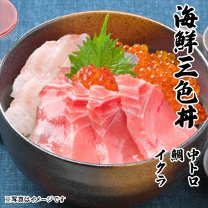 海鮮三色丼  中トロ 鯛 イクラ 3〜4人前 海鮮 丼 セット 2025 父の日 お中元 プレゼント ギフト 刺身 グルメ お祝い