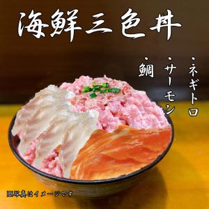 海鮮三色丼  ネギトロ サーモン 鯛  3〜4人前 海鮮 丼 セット 2024 プレゼント ギフト 刺身 グルメ お祝い 夏ギフト お中元 父の日｜gei-iwatemeisan