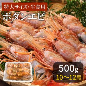 ぼたんえび 特大 海鮮 ギフト 10〜12匹 500g 冷凍 川村鮮魚店 エビ ボタンエビ 2024 プレゼント ギフト お中元 父の日 夏ギフト｜gei-iwatemeisan