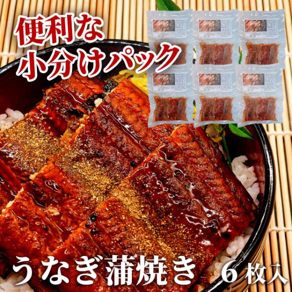 うなぎ 蒲焼 カット 直火焼き 3人前 100g×６枚 小分け 冷凍 丑の日 土用の丑 2024 プ...