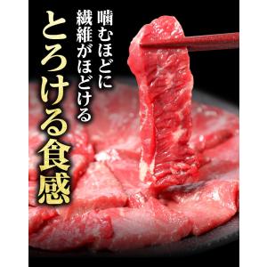 馬刺し 1kg 馬肉 ギフト 馬刺 ばさし 訳...の詳細画像4