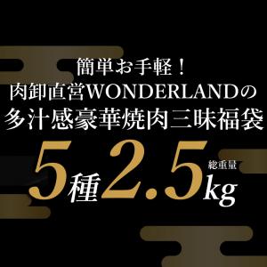 肉 福袋 食品 2026 メガ盛り 総重量2....の詳細画像1