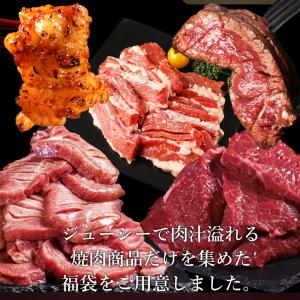 肉 福袋 食品 2026 メガ盛り 総重量2....の詳細画像2