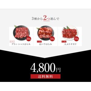 ハラミ サガリ 最大 1kg 焼肉セット 焼肉...の詳細画像1
