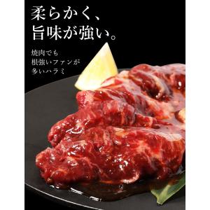 ハラミ サガリ 最大 1kg 焼肉セット 焼肉...の詳細画像2