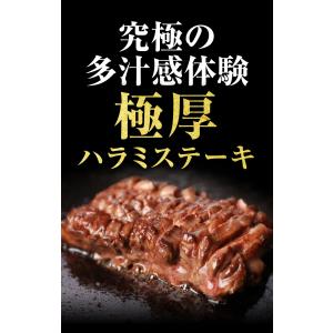メガ盛り ハラミ 1kg 焼肉 はらみ 牛はら...の詳細画像1