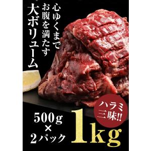 メガ盛り ハラミ 1kg 焼肉 はらみ 牛はら...の詳細画像4