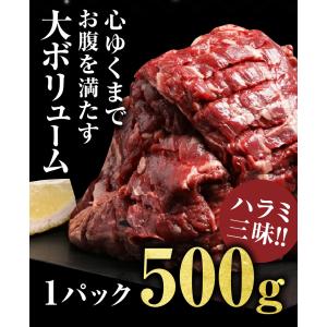 ハラミ ハラミステーキ 500g 焼肉 牛肉 ...の詳細画像5