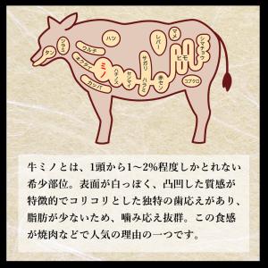 極ミノ 50g 低温調理 ミノ 牛ミノ バーベ...の詳細画像3