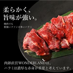 ハラミ 500g 訳あり 肉 焼肉 焼き肉 は...の詳細画像2