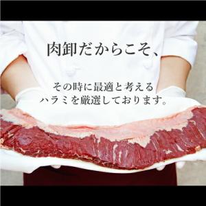 ハラミ 500g 訳あり 肉 焼肉 焼き肉 は...の詳細画像3