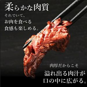 ハラミ 500g 訳あり 肉 焼肉 焼き肉 は...の詳細画像4