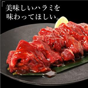 ハラミ 500g 訳あり 肉 焼肉 焼き肉 は...の詳細画像5