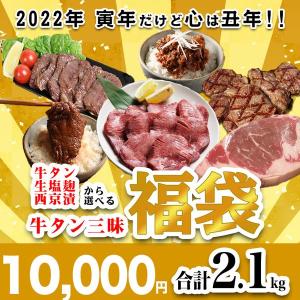 メガ盛り 肉 福袋 訳あり 送料無料 ギフト  牛タン リブロース 牛肉 焼肉セット 焼肉 ステーキ ハンバーグ 総重量2.3kg（7種 食べ比べ)