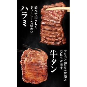 焼肉セット 1.5kg 焼肉 肉 牛肉 牛タン...の詳細画像2