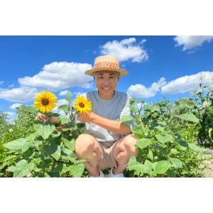 ひまわり サンフィニティ 3寸 4苗セット 1...の詳細画像3