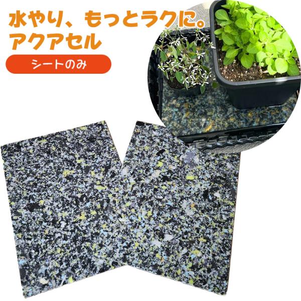 園芸 給水シート アクアセル 底面給水 ウレタン シートのみ 10枚