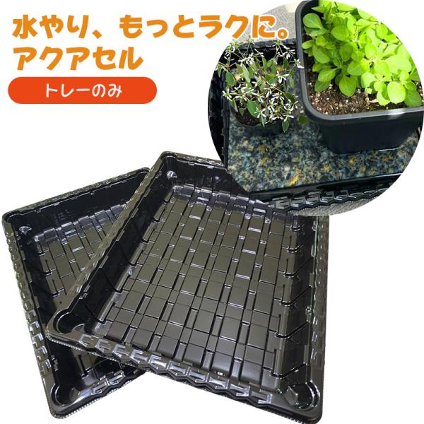 園芸 給水シート アクアセル 底面給水 ウレタン 専用トレーのみ 2枚