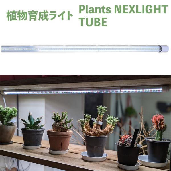 植物育成ライト 植物ライト 育成灯 育成ライト LED 野菜 栽培 業務用 室内栽培 室内園芸 家庭...