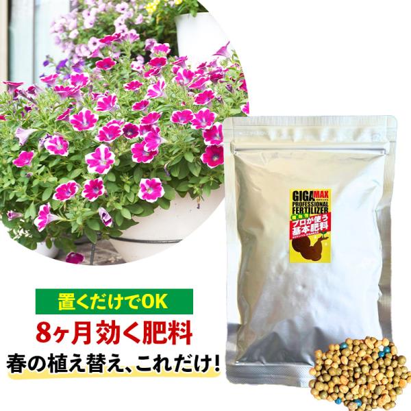 置くだけ肥料 8ヶ月効く GIGAMAX 花 観葉植物 元肥 追肥 初心者向け 固形肥料  | 良く...