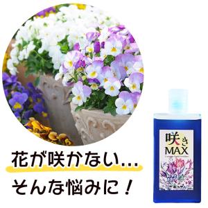 花 植物 用 液体肥料 液肥 濃縮タイプ 希釈 液体肥料の種類