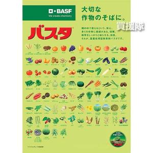 (法人限定)BASF バスタ液剤 100L 除...の詳細画像3