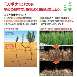 (法人限定)BASF バスタ液剤 100L 除...の詳細画像4