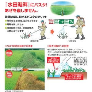 (法人限定)BASF バスタ液剤 100L 除...の詳細画像5