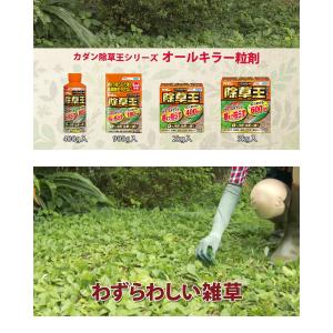 フマキラー カダン 除草王 オールキラー粒剤 3kgの詳細画像3