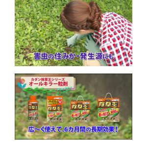 フマキラー カダン 除草王 オールキラー粒剤 3kgの詳細画像4