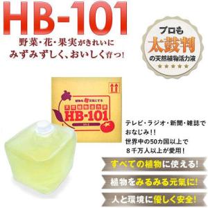 天然植物活力液 HB-101 20リットルの詳細画像1