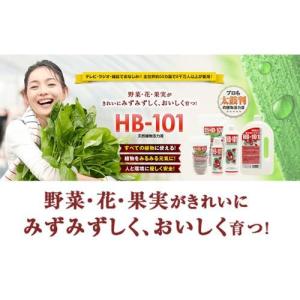 天然植物活力液 HB-101 20リットルの詳細画像2