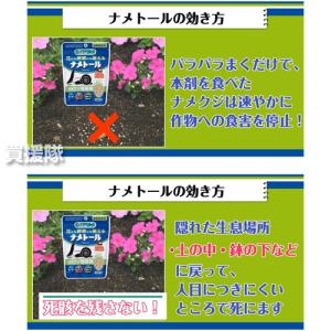 ハイポネックス ナメトール 120g ナメクジ駆除剤の詳細画像5