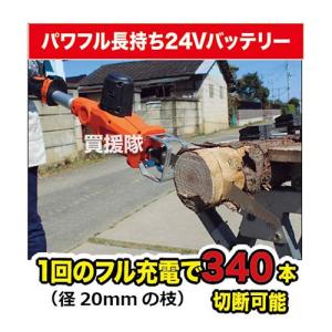 YARD FORCE 3m コードレス 高枝電...の詳細画像4